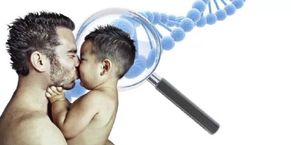 Установление отцовства по ДНК