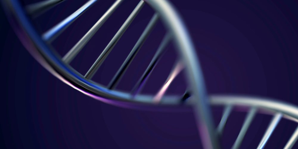 Нейросеть обучили искать левозакрученную ДНК