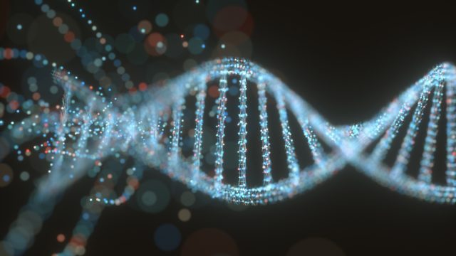Подтвердилась теория о том, что жизнь на Земле возникла из смеси РНК-ДНК